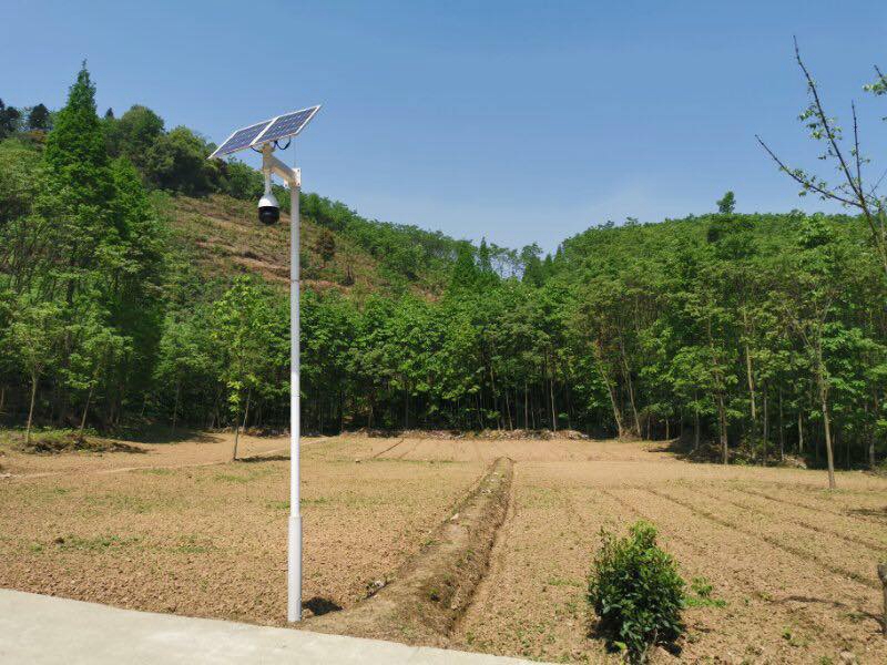 成都中藥材基地用太陽能無線監控系統