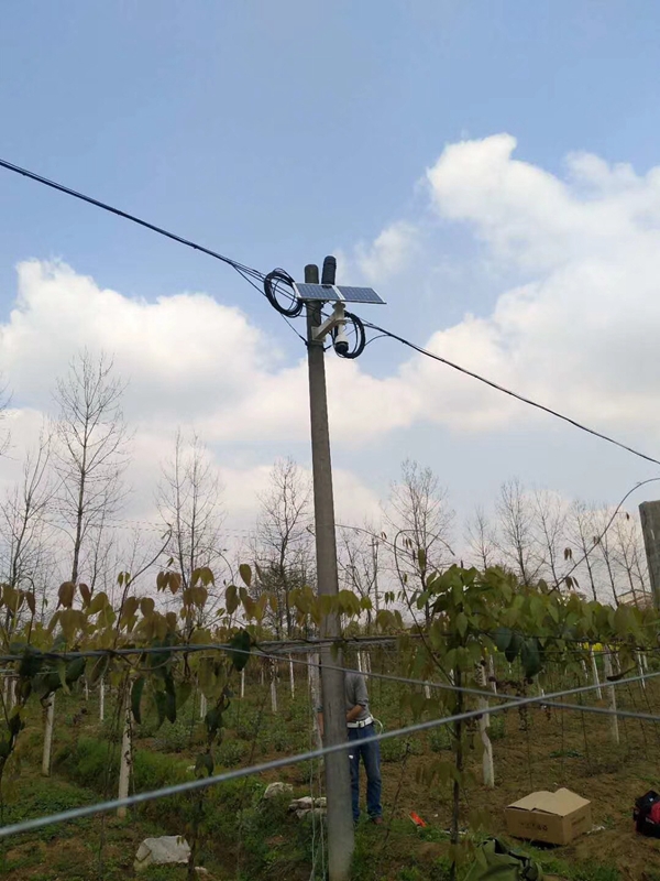 新疆果園用 OKEYSET 太陽能無線監控一體機