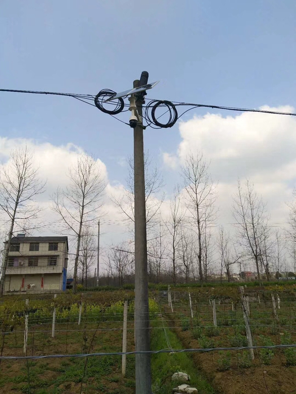 新疆葡萄園用 OKEYSET 太陽能無線監控一體機