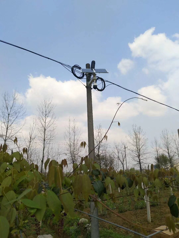 新疆哈密大型農場用 OKEYSET 太陽能無線監控一體機